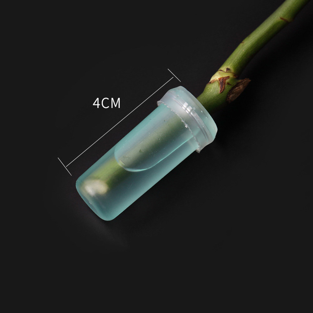 20Pcs Fresh Flower Tubes Leak  - Florist Supply Shop บทวิจารณ์และราคา