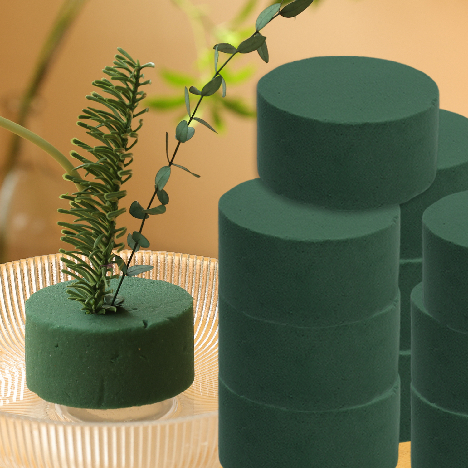 Green Floral Foam Blocks Round - Floral Foam Oasis บทวิจารณ์และราคา