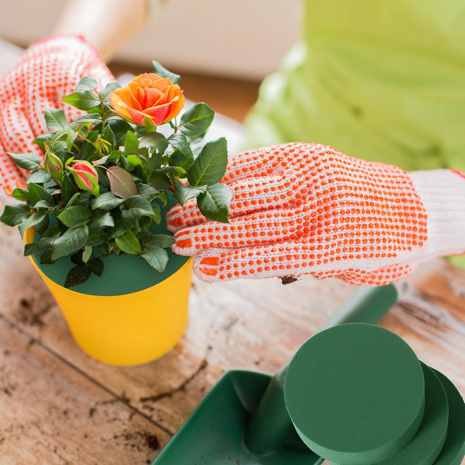 Green Floral Foam Blocks Round - Floral Foam Oasis บทวิจารณ์และราคา