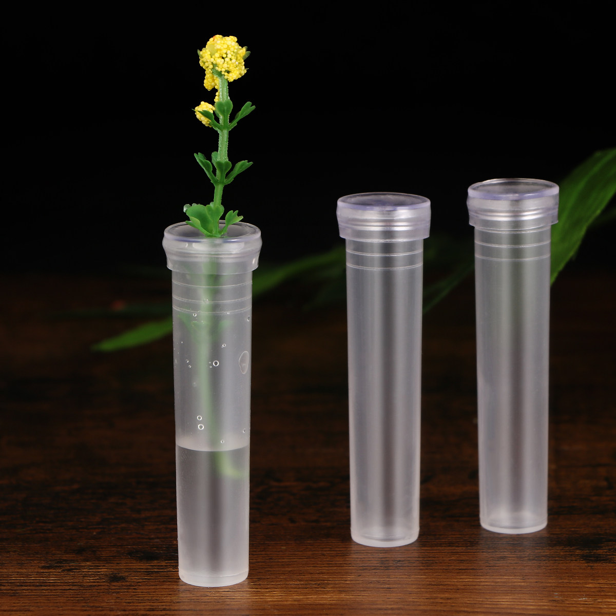 50Pcs Nutrition Flower Tubes P - Anda Florist Supply บทวิจารณ์และราคา