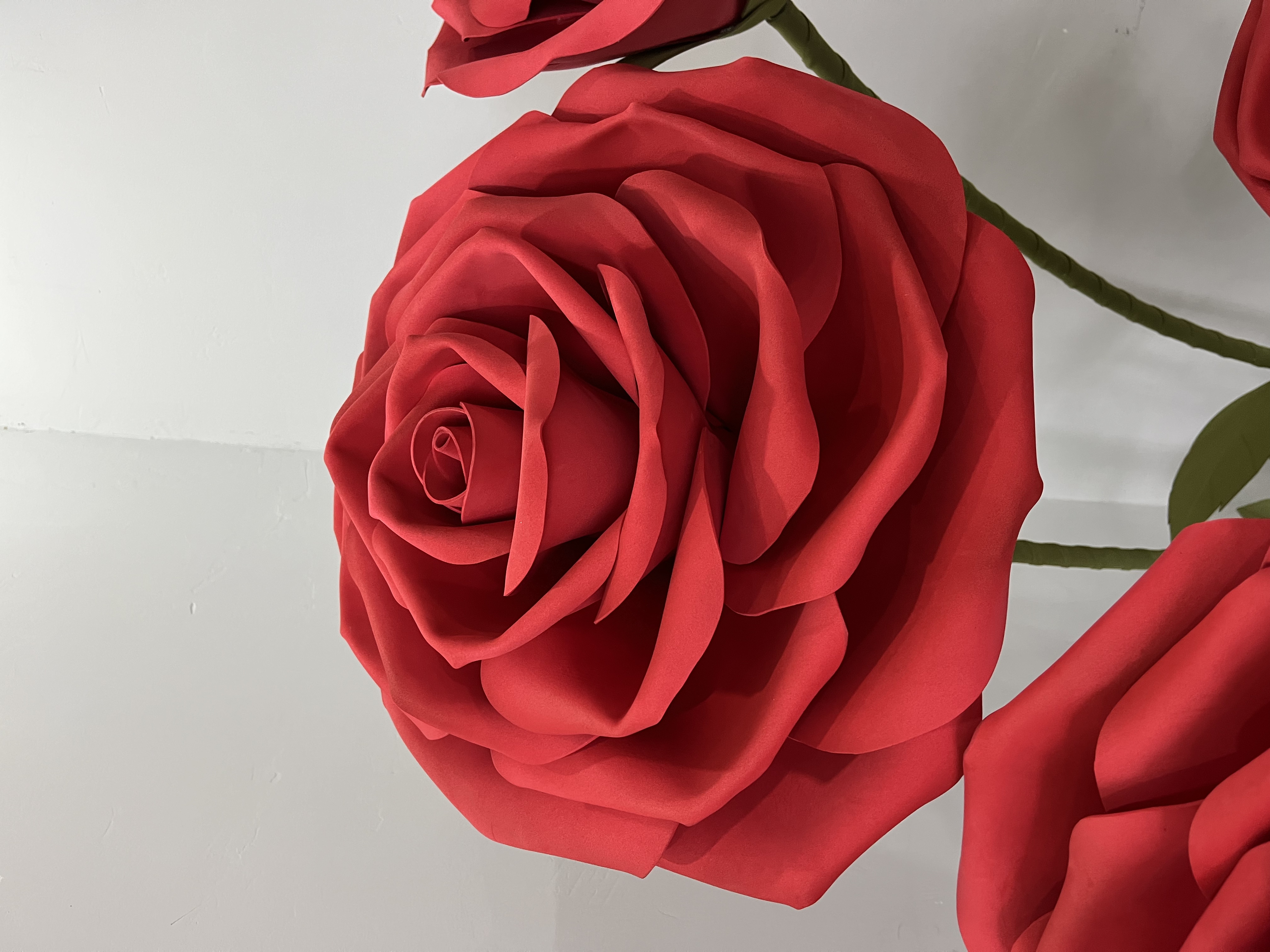 EVA Waterproof Giant Rose Flor - Bouquet Holder Foam บทวิจารณ์และราคา