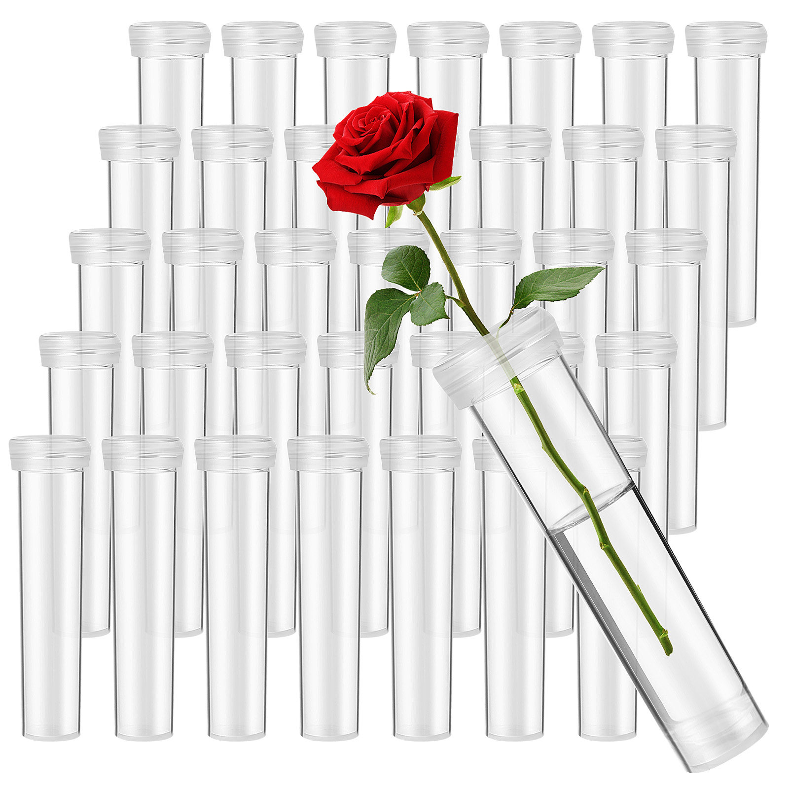 100Pcs Flower Nutrient Tubes U - Anda Florist Supply บทวิจารณ์และราคา