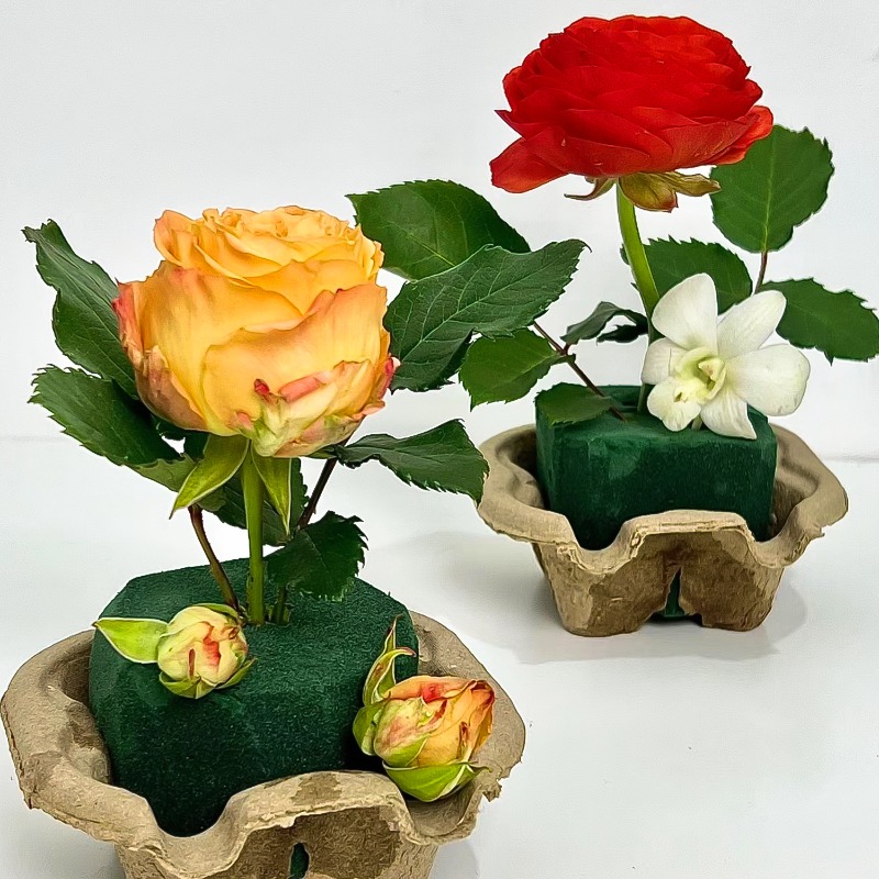 Rectangle Green Floral Foam Bl - Floral Foam Oasis บทวิจารณ์และราคา
